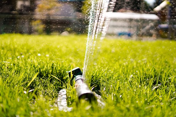 Watering your lawn: not a free for all