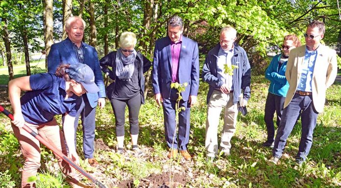 Rosemère opens community gardens for planting enthusiasts Rosemère opens community gardens for planting enthusiasts