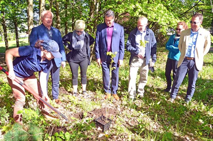 Rosemère opens community gardens for planting enthusiasts Rosemère opens community gardens for planting enthusiasts