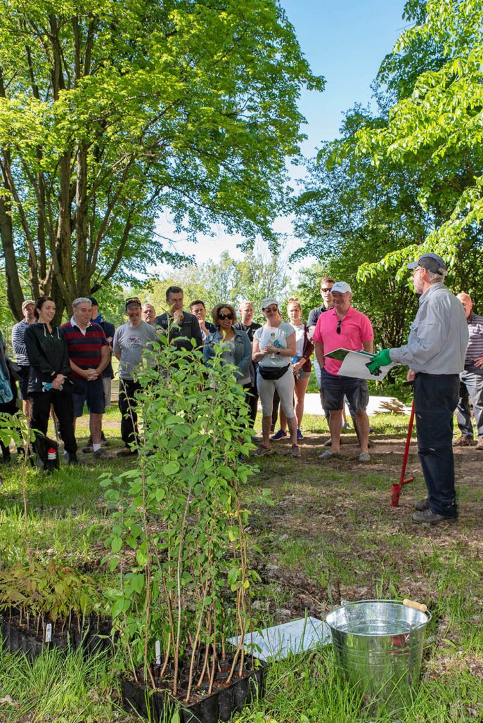 Rosemèrites plant new trees at Externat Sacré-Cœur woods Rosemèrites plant new trees at Externat Sacré-Cœur woods