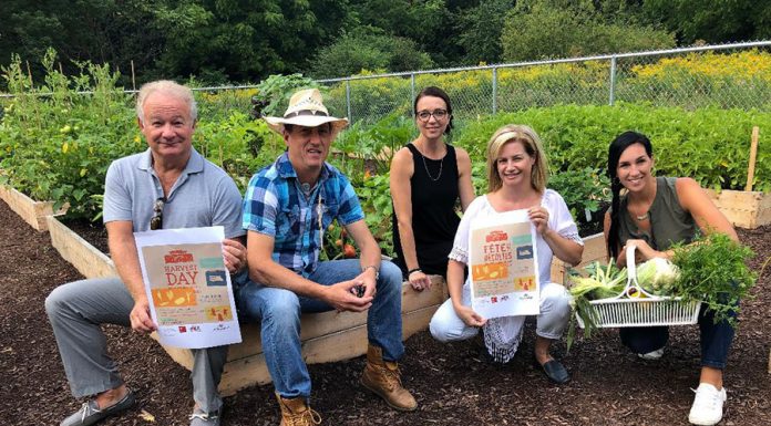 Rosemère to hold its first annual ‘Harvest Day’ Rosemère to hold its first annual ‘Harvest Day’