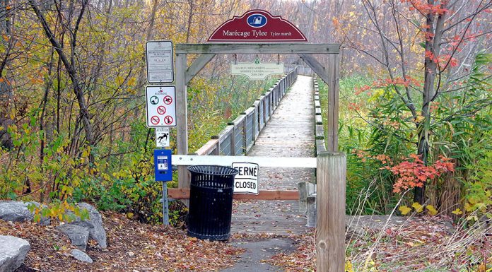Safety concerns shut Rosemère’s Tylee Marsh boardwalk Safety concerns shut Rosemère’s Tylee Marsh boardwalk