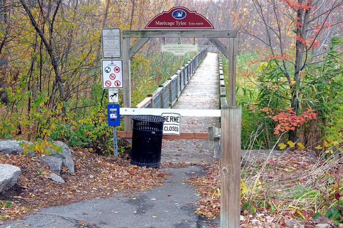 Safety concerns shut Rosemère’s Tylee Marsh boardwalk Safety concerns shut Rosemère’s Tylee Marsh boardwalk