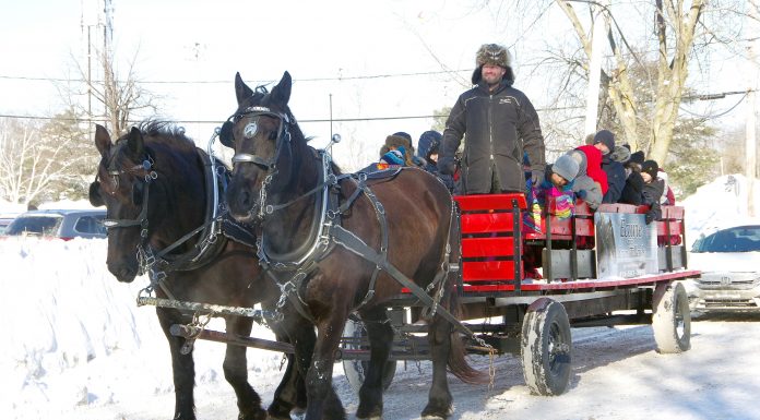 Rosemère braves the cold at 2020 Winter Carnival Rosemere Carnival