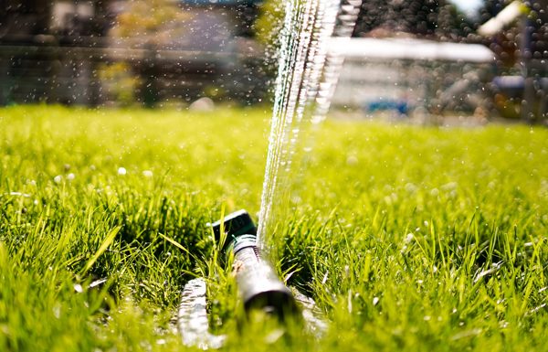 Watering your lawn: not a free for all