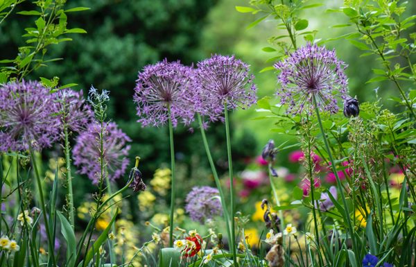 Love at first sight: best Lorraine gardens to win awards