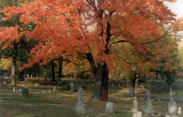 Inauguration of a site at the Cœur-Immaculé-de-Marie cemetery dedicated to deceased babies