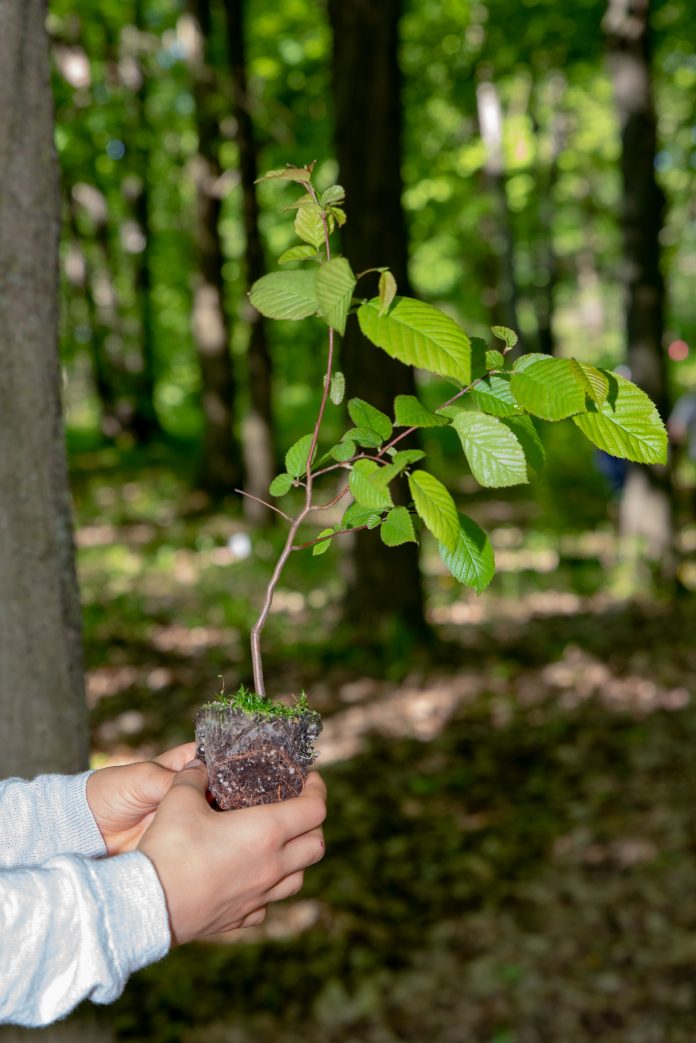 The environment, a priority for Rosemère