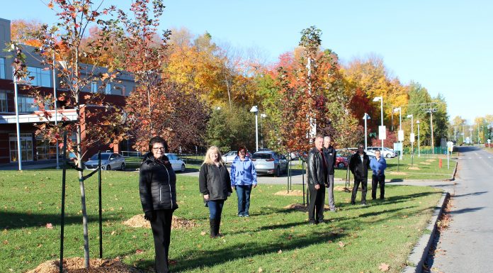 Deux-Montagnes takes over tree planting relay