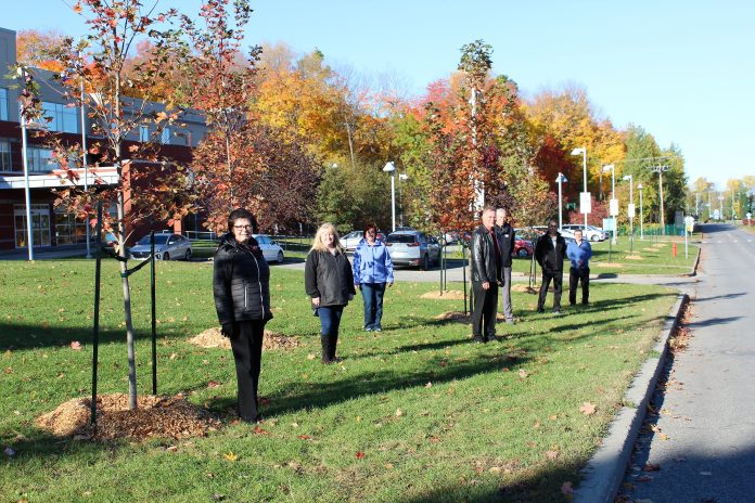 Deux-Montagnes takes over tree planting relay