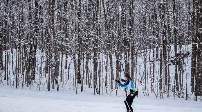 Winter outdoors in Lorraine