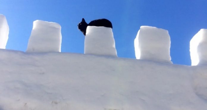 On your shovels! The Snow Castle Challenge is launched in Sainte-Thérèse!