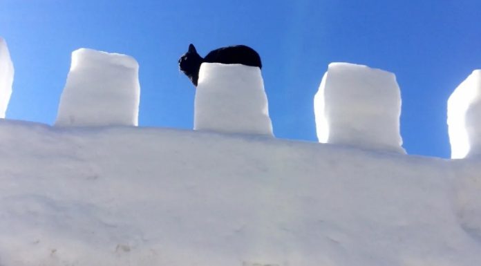 On your shovels! The Snow Castle Challenge is launched in Sainte-Thérèse!