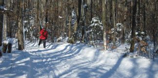 Saint-Eustache Nature Park open of cross-country skiing and snowshoeing