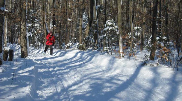 Saint-Eustache Nature Park open of cross-country skiing and snowshoeing