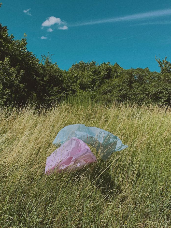 Plastic bags begone!