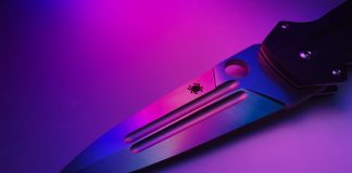Breaking & entering and assault in Rosemère