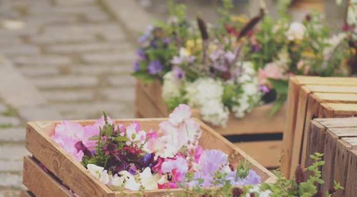 16th edition of the horticultural day: return of the “home delivery” formula.
