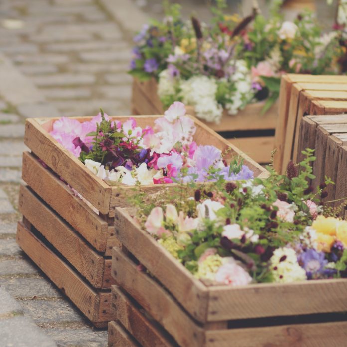 16th edition of the horticultural day: return of the “home delivery” formula.