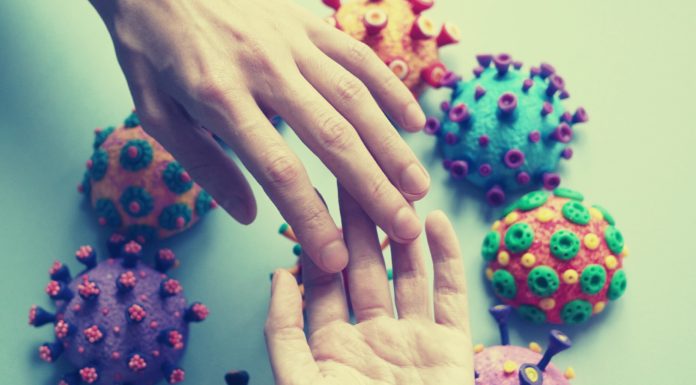 THE IMPACTS OF THE PANDEMIC ON COMMUNITY ORGANIZATIONS AND SOCIAL DEVELOPMENT IN THE LAURENTIANS REGION