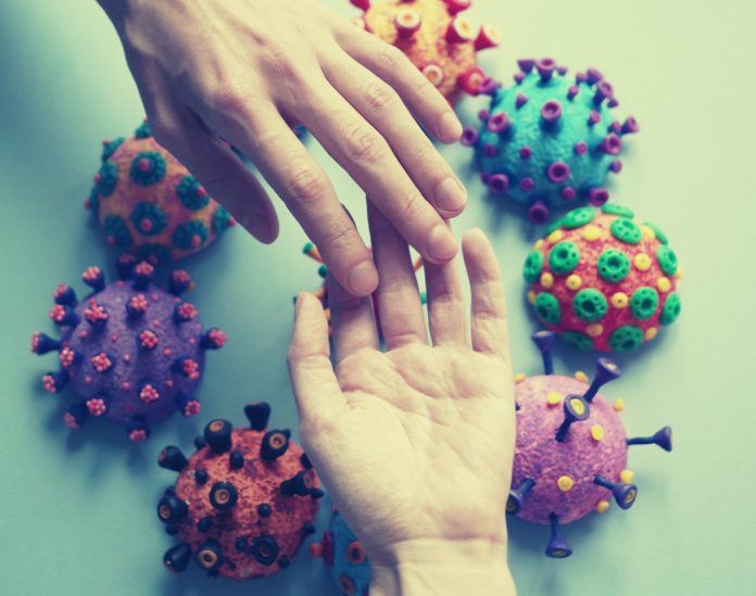THE IMPACTS OF THE PANDEMIC ON COMMUNITY ORGANIZATIONS AND SOCIAL DEVELOPMENT IN THE LAURENTIANS REGION