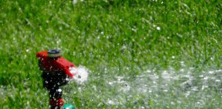 Zero tolerance with the watering ban in Rosemère