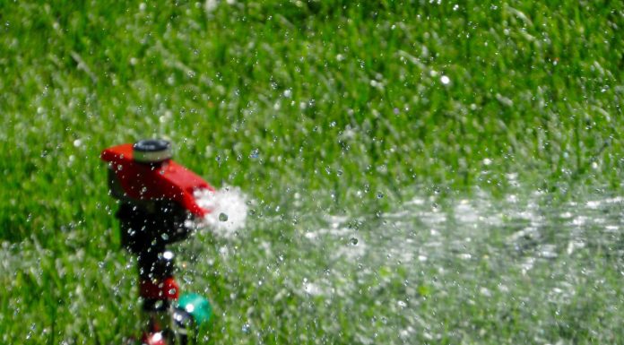 Zero tolerance with the watering ban in Rosemère