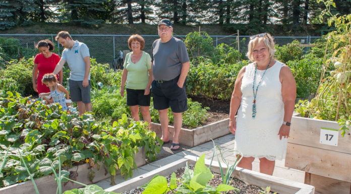A second community garden at Parc Filion