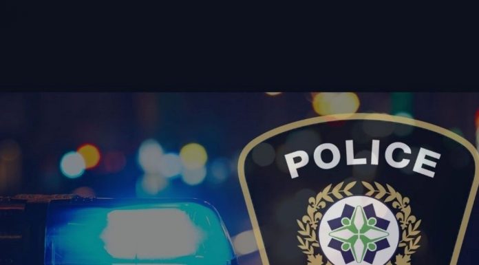 Police operation: Vaccination passport during the holiday season