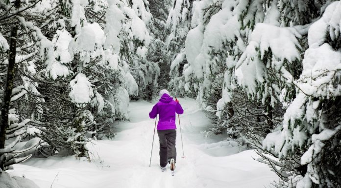 Spring break in Rosemère? The city’s got you covered!