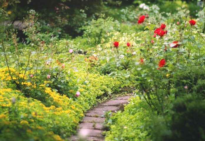 How to prepare your garden after winter