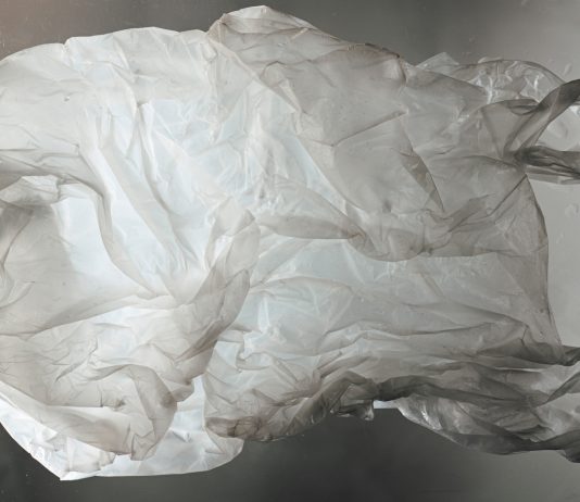 Sainte-Thérèse bans plastic bags