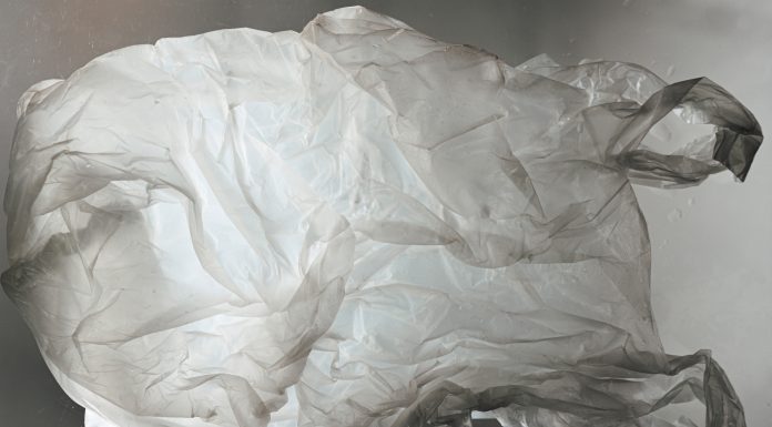 Sainte-Thérèse bans plastic bags