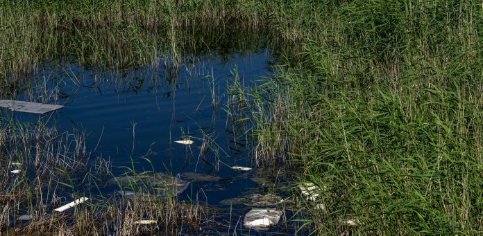 North Shore cities united for a cleanup of the banks of the Rivière des Mille Îles