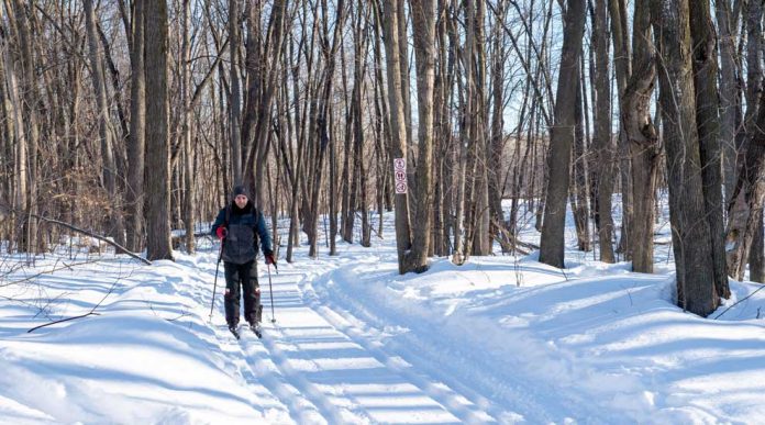 Green light for the development of the Nature Park