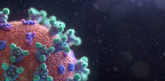 Circulation of respiratory infections