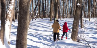 Winter festivities in Saint-Eustache