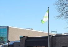 The Omega Centre: an essential partner in academic perseverance