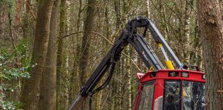Stop cutting the trees!