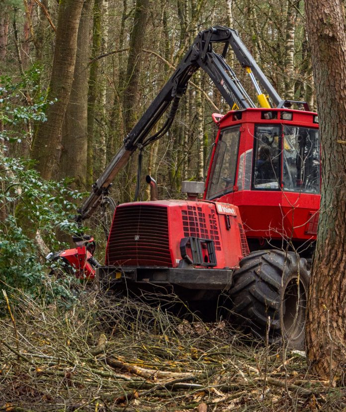 Stop cutting the trees!