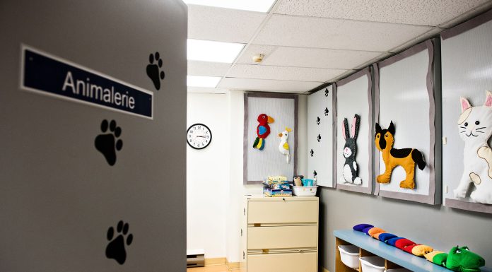 Innovative Environments: Addressing the Needs of Visual, Auditory, and Language Disabilities with Sensational Therapies