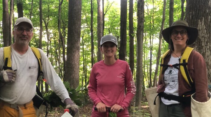 10,000 Trees Planted in Deux-Montagnes for 2 Billion Trees Program