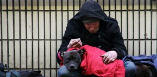 Fight Against Homelessness: Quebec’s Significant Funding Boost for Southern Laurentians