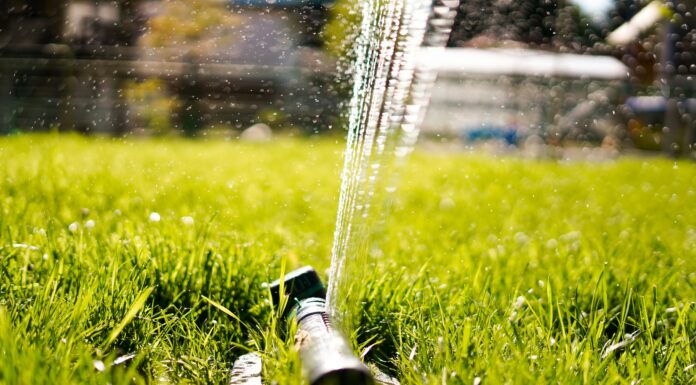 Conserving Water in Blainville: The City Launches Awareness Campaign to Curb Lawn Watering