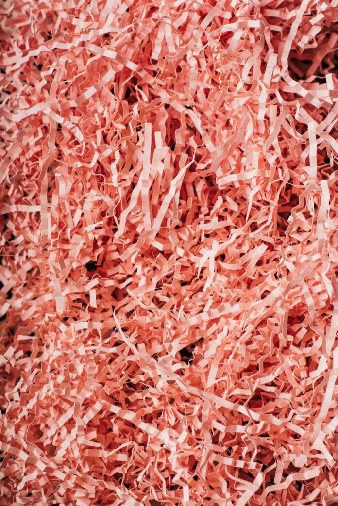 The Importance and Benefits of Personal Document Shredding for Protecting Valuable Information