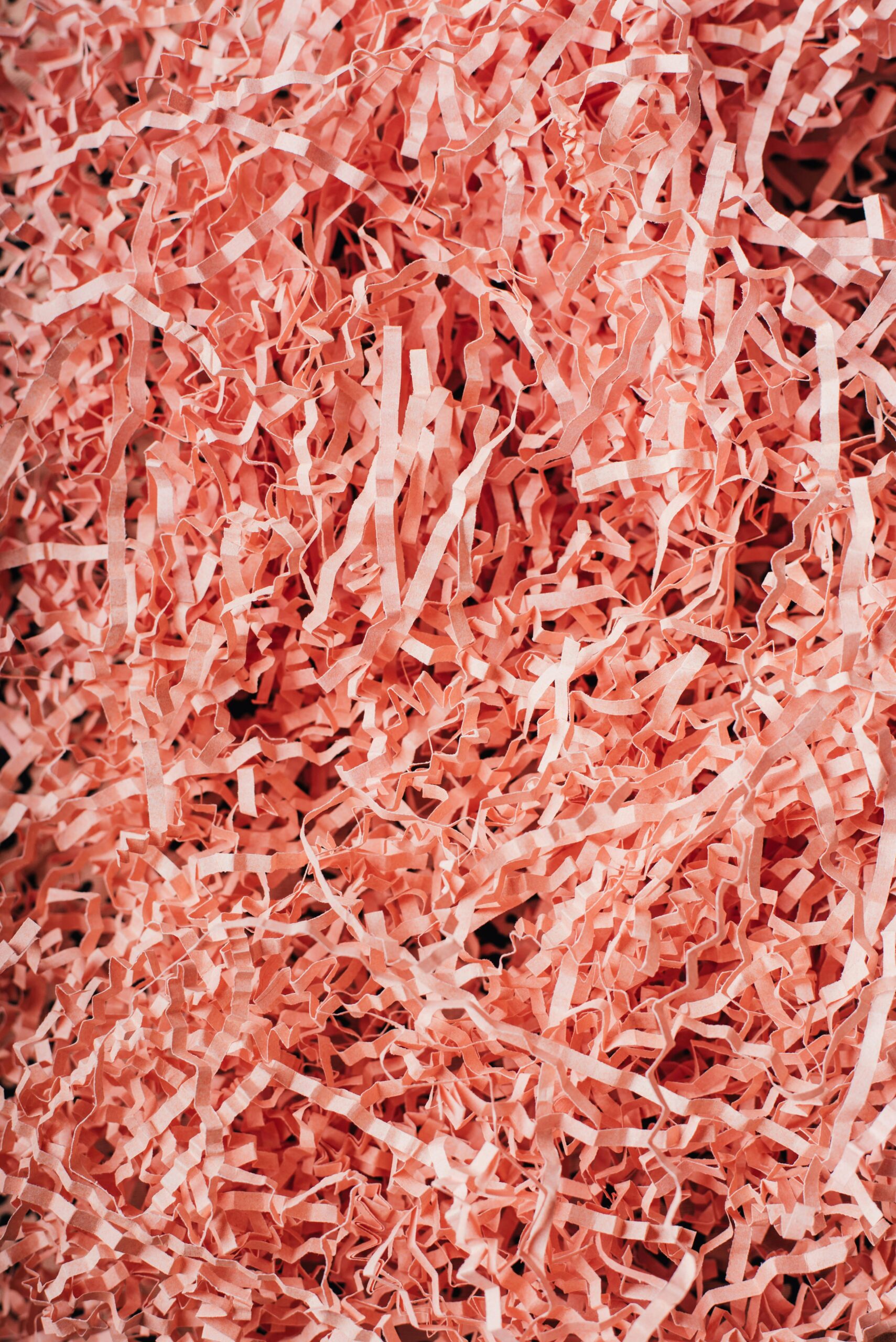 The Importance and Benefits of Personal Document Shredding for Protecting Valuable Information