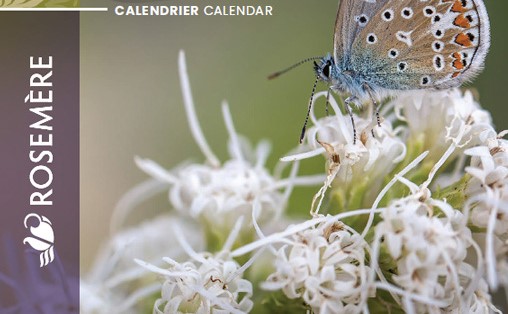 Rosemère’s 2025 Calendar Highlights Community Initiatives and Accessibility