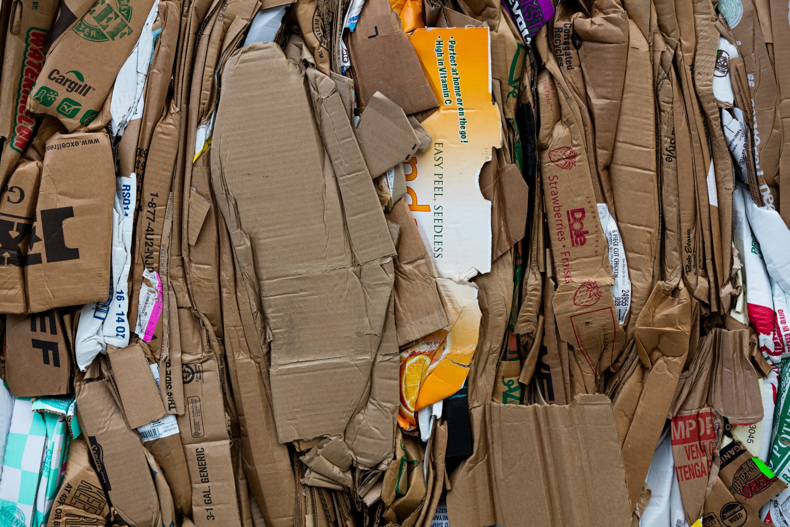 The Great Recycling Revolution in Quebec: Ending Waste, Starting Sustainability!