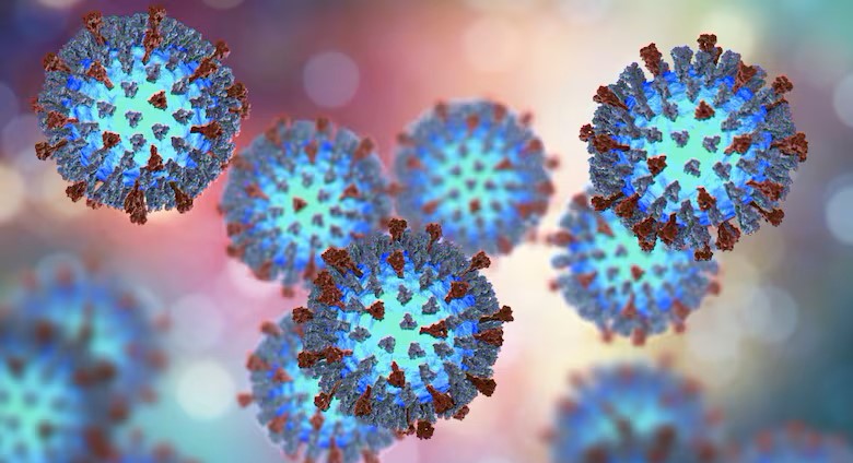 Measles Outbreak in the Laurentians Sparks Urgent Vaccination Push