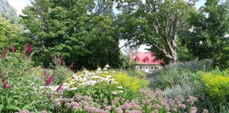 Rosemère Council Formally Adopts Redevelopment Plan for Place Rosemère Sector